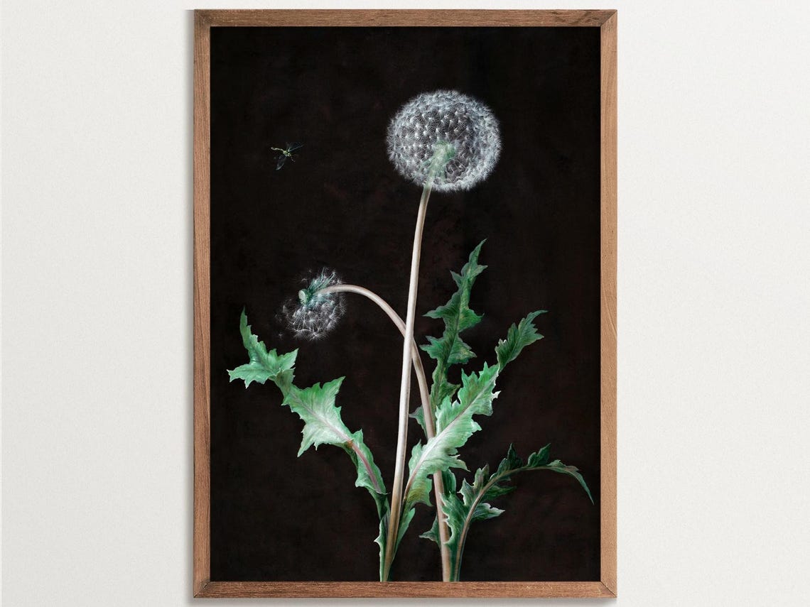 Dark Cottagecore Dandelion Botanical Art Print