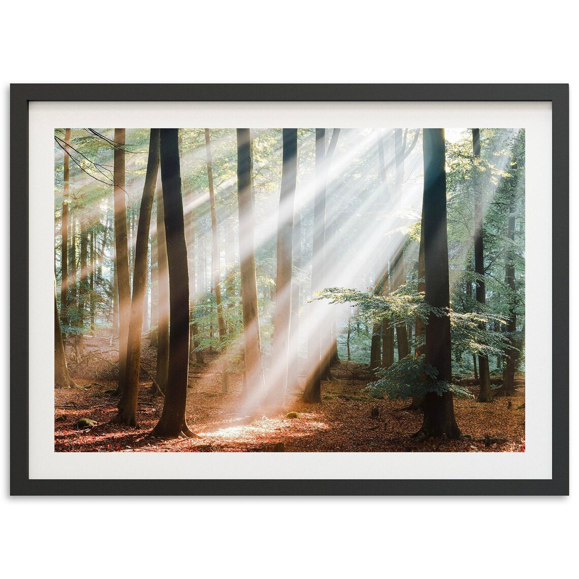 Moody Forest Trees Print, Fall Mountain Landscape