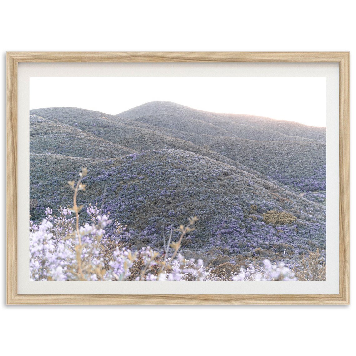 Purple Wildflower Hillside Superbloom Landscape Photography Print