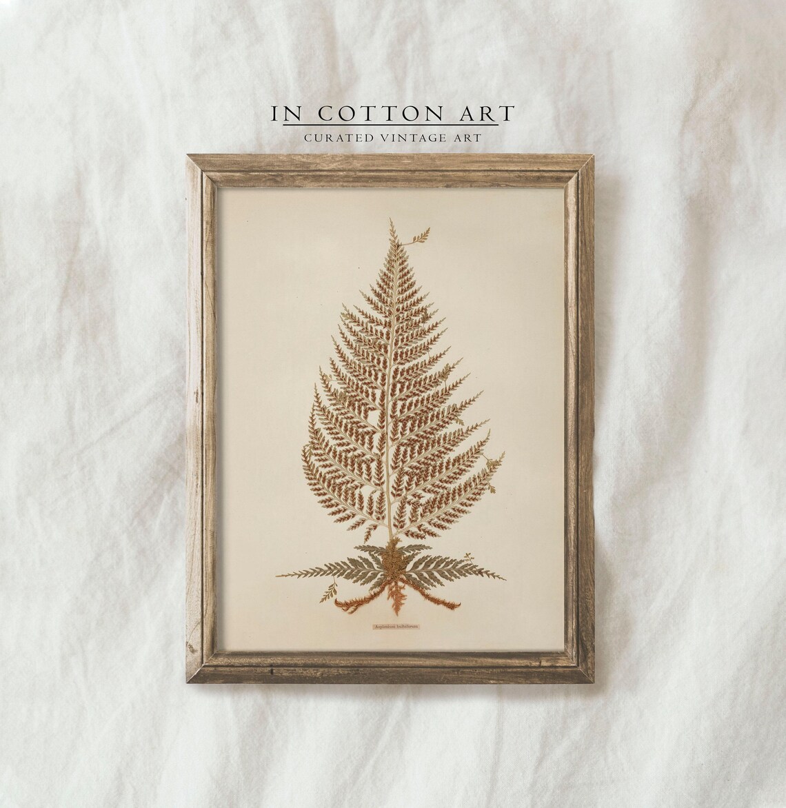 Vintage Kitchen Fern Botanical Art Print, Farmhouse - Image 4