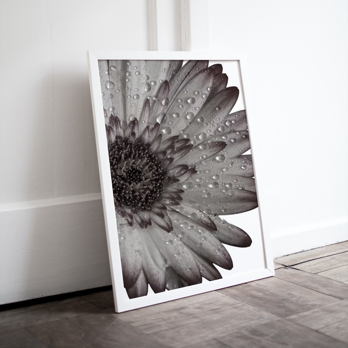 Daisy Close Up Poster Raindrops On Petals Black And White Art - Image 4