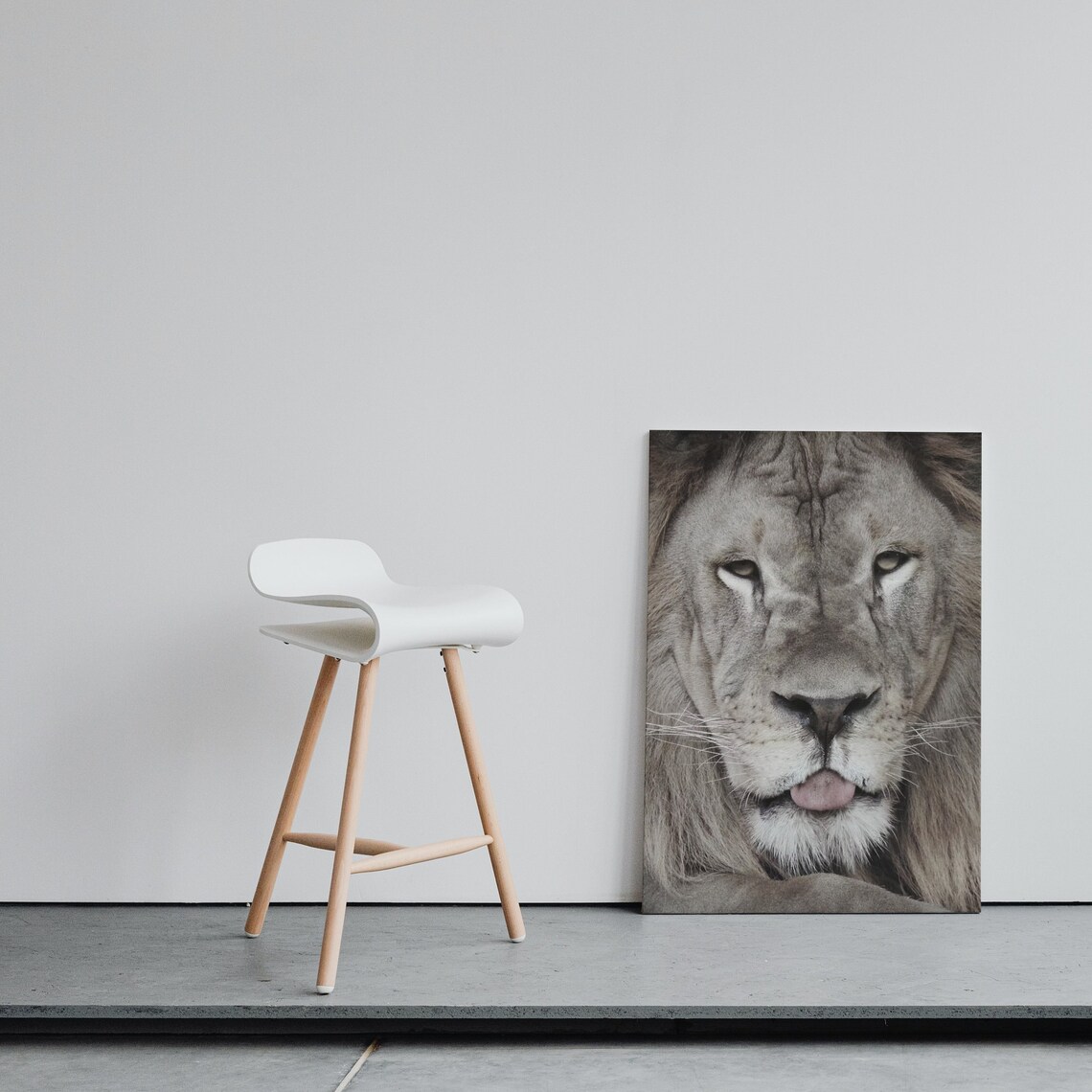 Lion Sticking Tongue Out Playful Wild Animal Portrait Poster - Image 3