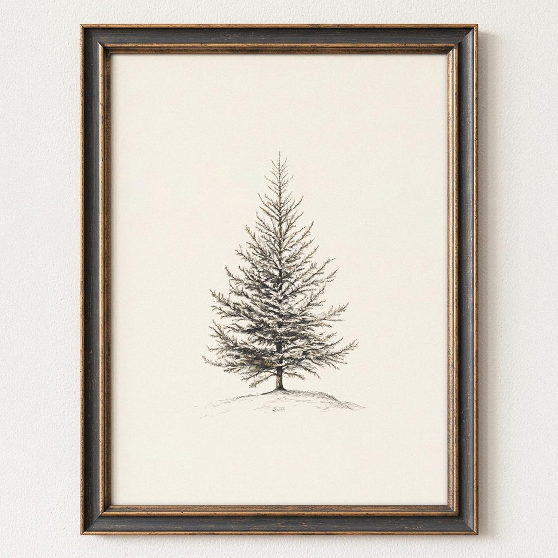 Single Evergreen Tree Botanical Sketch Winter Rustic Cabin Wall Poster
