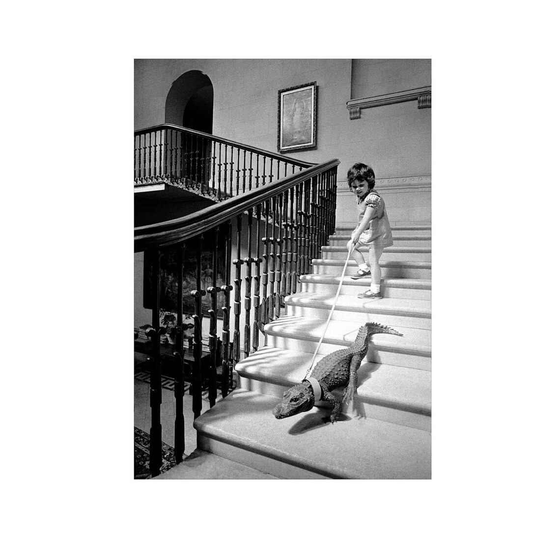 Little Girl Leading Crocodile on Stairs Vintage Photo Poster - Image 2