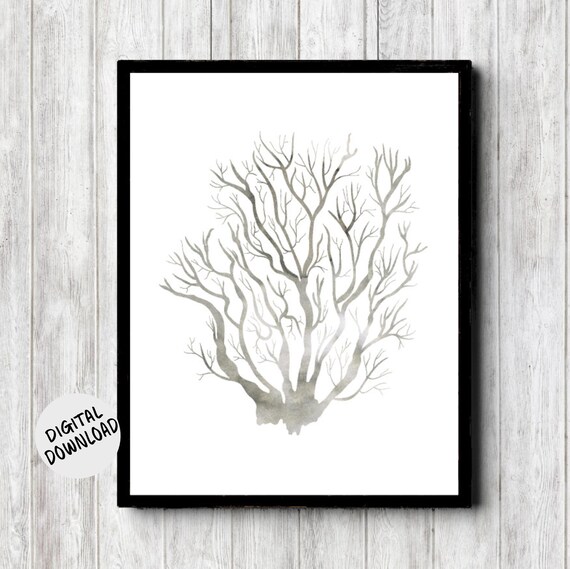 Gray Minimalist Sea Coral Wall Art Watercolor Sealife Gender Neutral Beach Theme Nursery Art