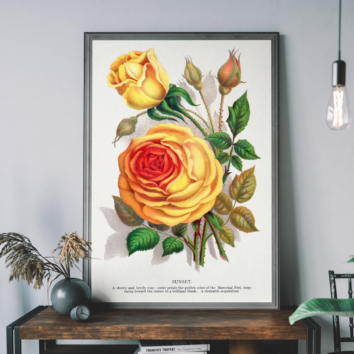 Vintage Sunset Rose Poster Antique Botanical Art Print Yellow Flower Wall Rustic Decor Floral Home