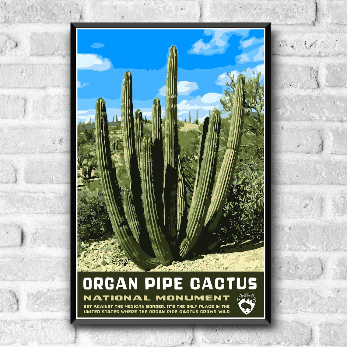 Organ Pipe Cactus National Monument, Vintage Travel Poster - Image 3