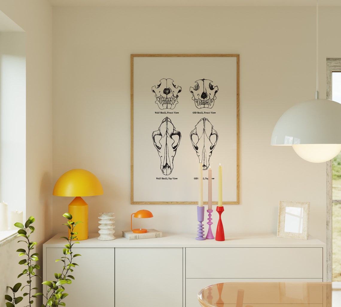 Wolf and German Shepherd Skull Anatomy Diagram Scientific Poster - Image 3