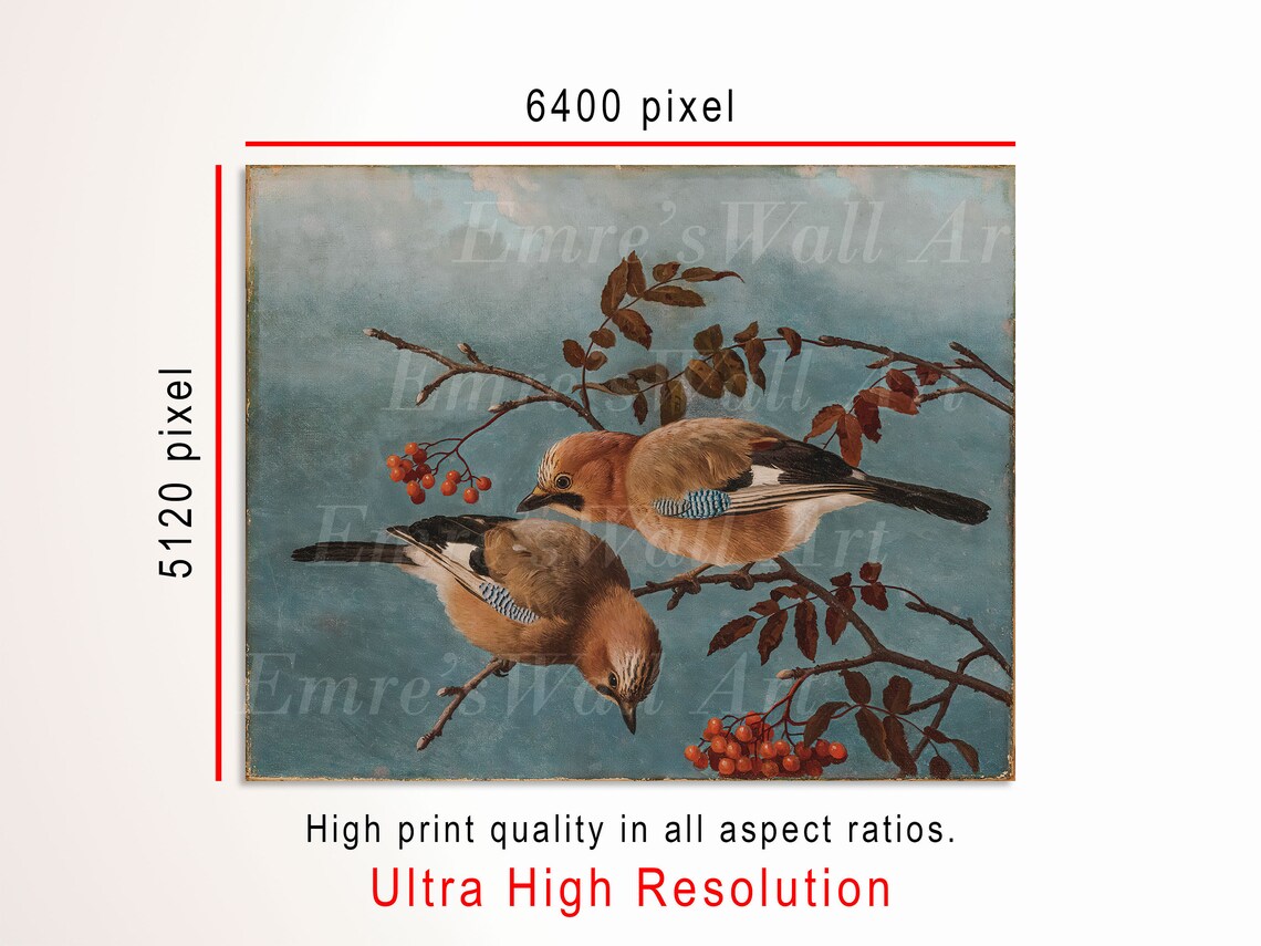 Vintage Bird Print, Antique Nursery Decor - Image 3
