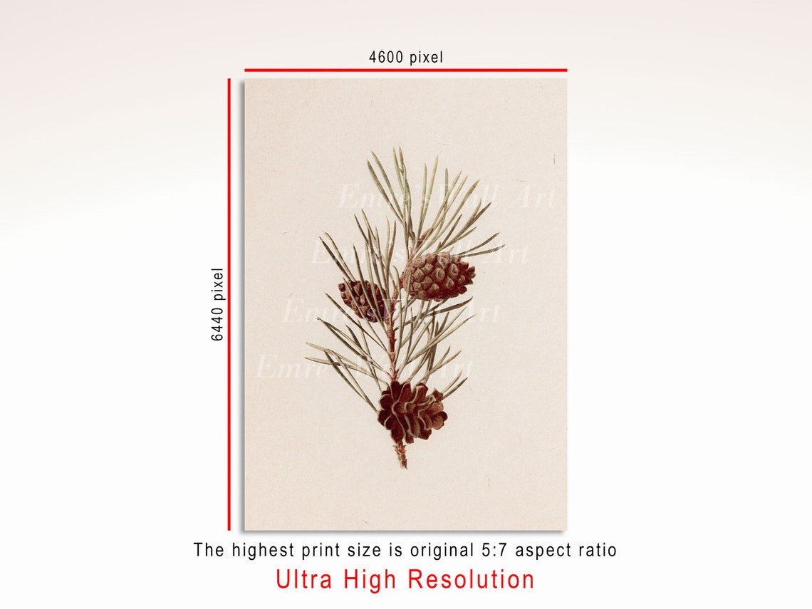 Stag Portrait And Pinecone Botanical Neutral Gallery Set Poster - Image 3