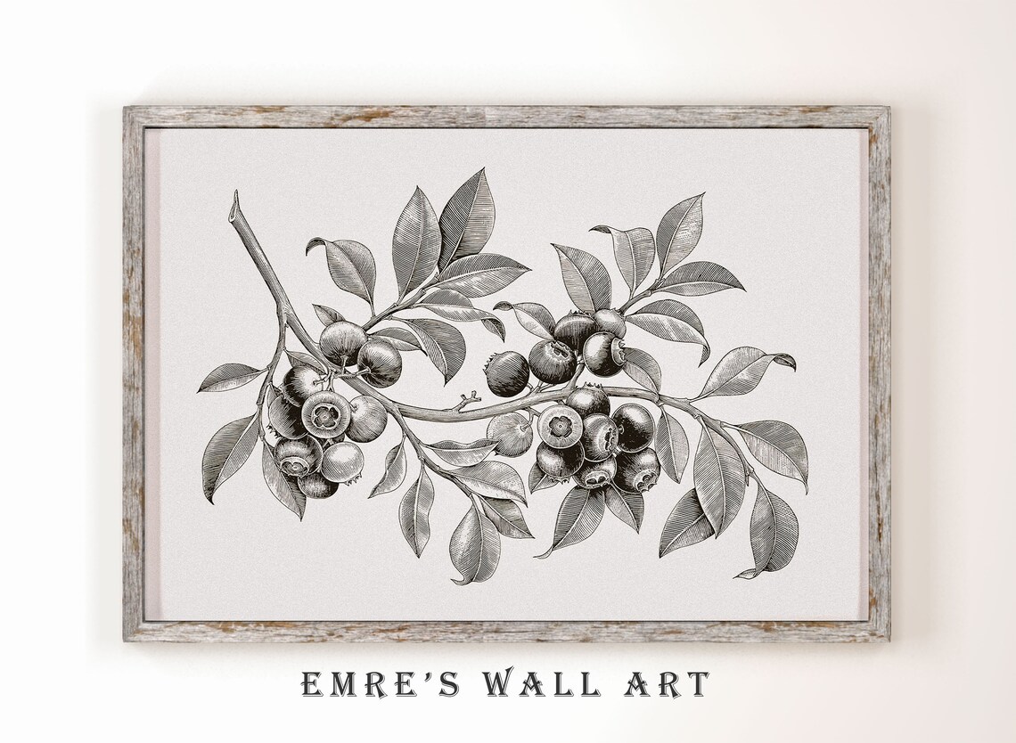 Vintage Blueberry Tree Botanical Sketch Art Print - Image 2