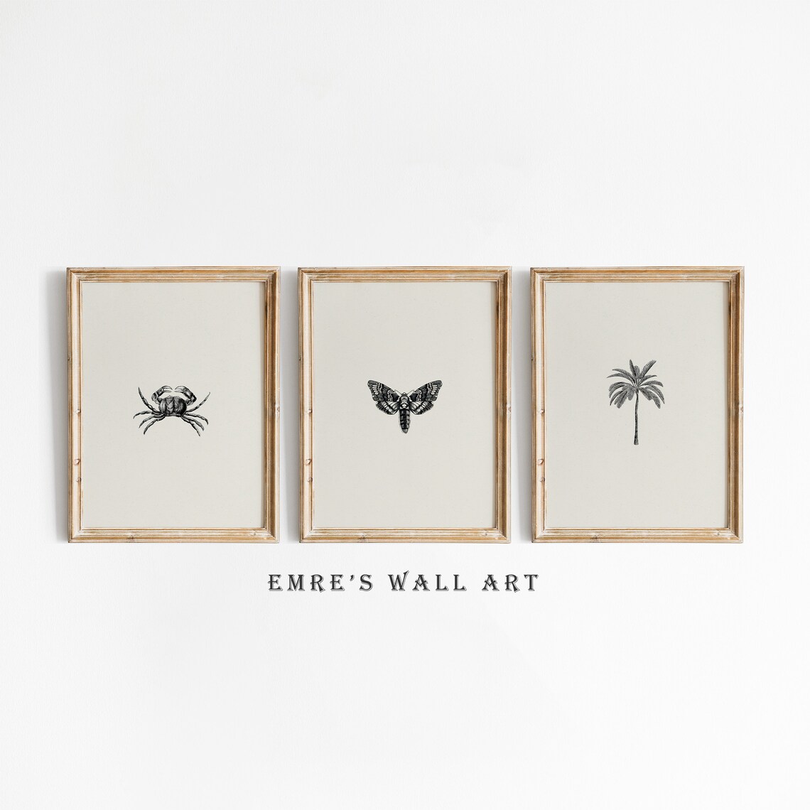 Vintage Sketch Butterfly, Palm, and Crab Art Print Set - Image 5