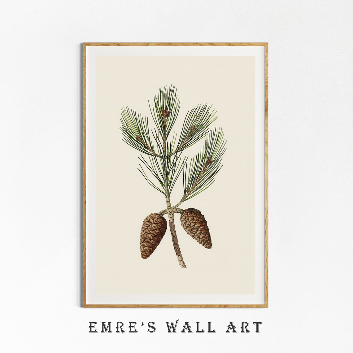 Pine Cone Branch Sketch, Vintage Botanical Art Print - Image 4