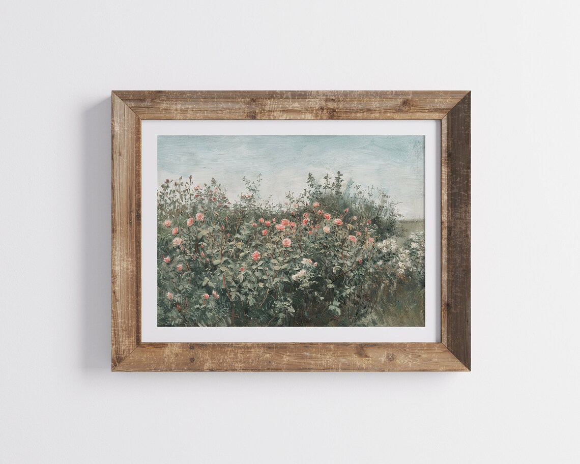 Pink Wild Roses Blooming Garden Bushes Vintage Botanical Flower Poster - Image 2