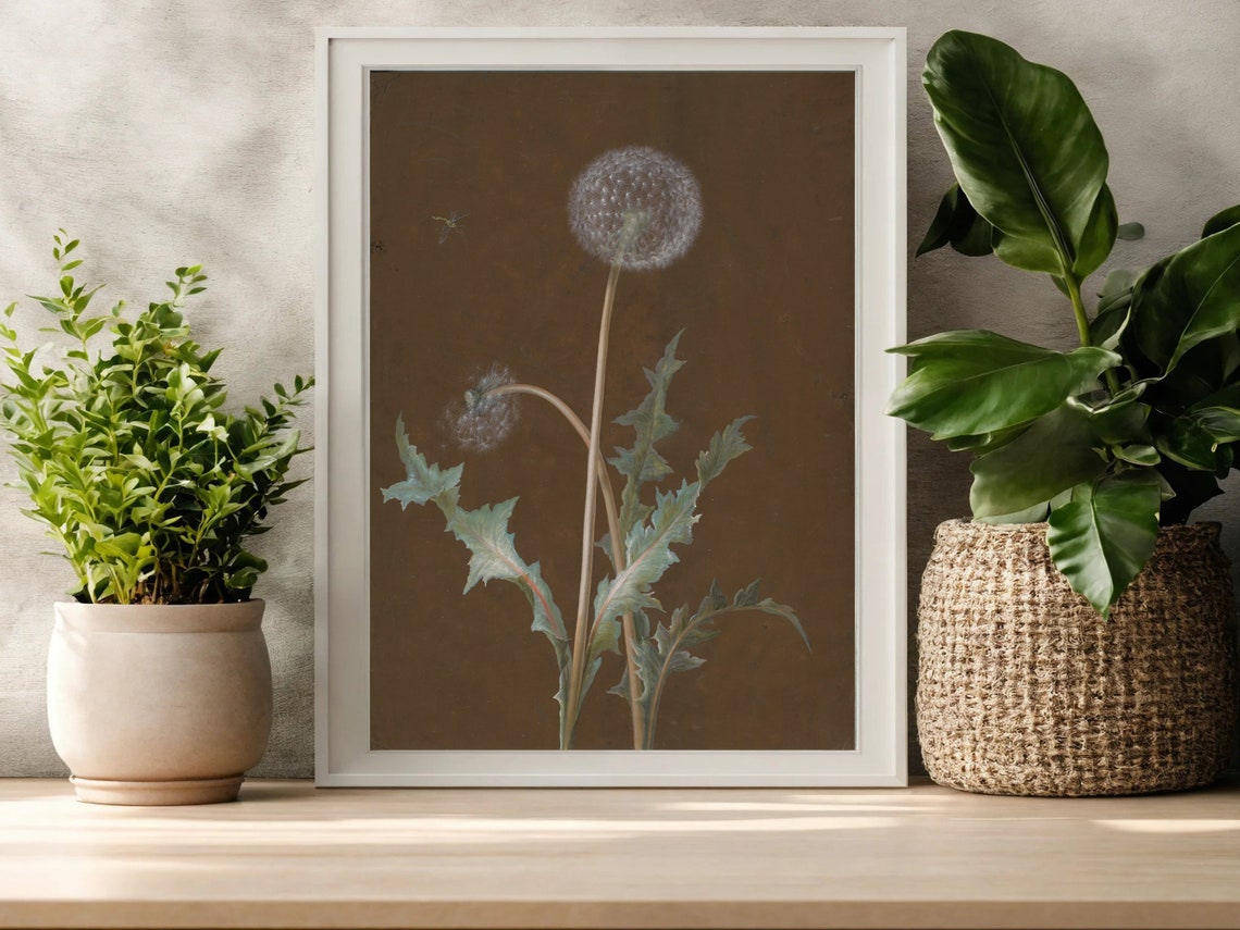 Dandelion Seed Head Butterfly Vintage Botanical Study Art Poster - Image 8