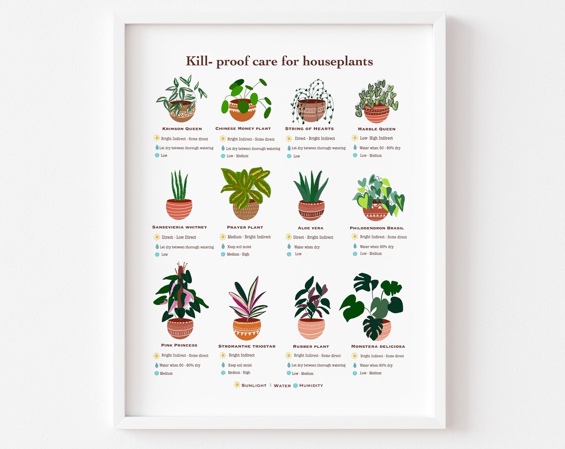 Houseplant Care Guide, Beginner Plant Chart Art Print