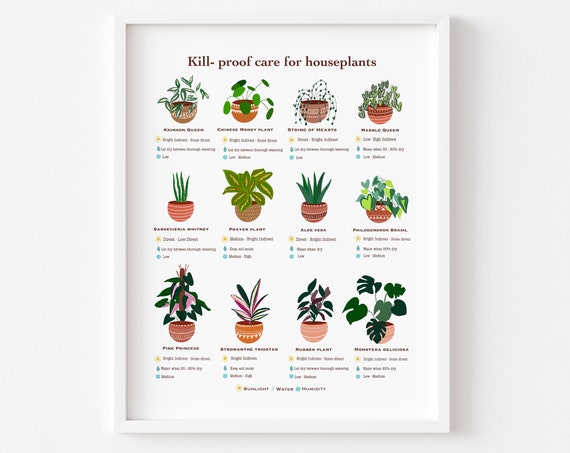 Houseplant Care Guide, Beginner Plant Chart Art Print
