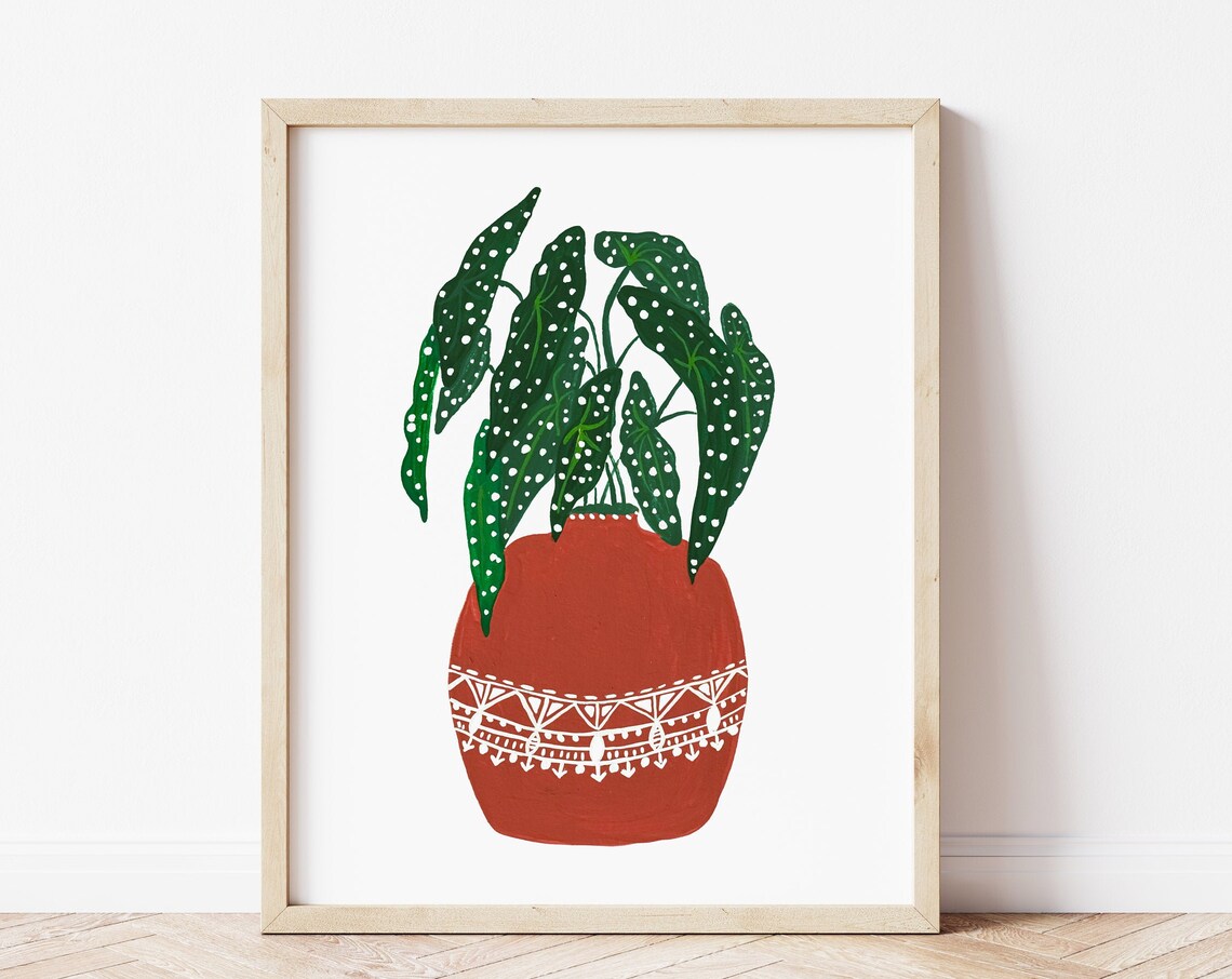 Begonia Maculata Botanical Art Print, Boho Plant Poster
