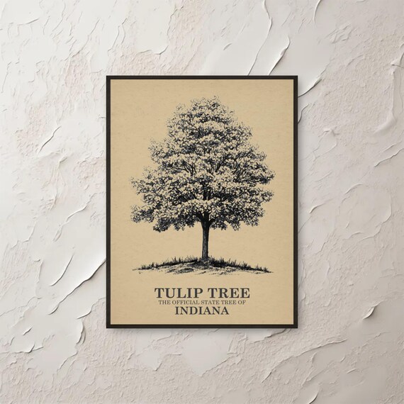 Indiana Tulip Tree Wall Art Botanical Print State Home Decor Vintage Poster Arboreal Gift