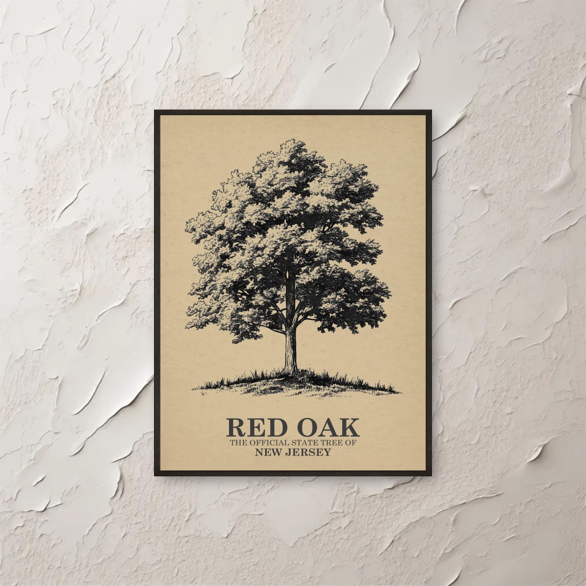 Red Oak New Jersey State Tree Vintage Botanical Illustration Poster