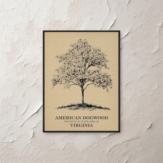 American Dogwood Virginia State Tree Vintage Botanical Poster