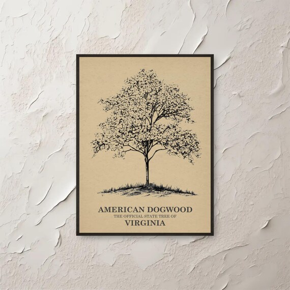 Dogwood Art Virginia State Tree Wall Botanical Print Nature Home Decor