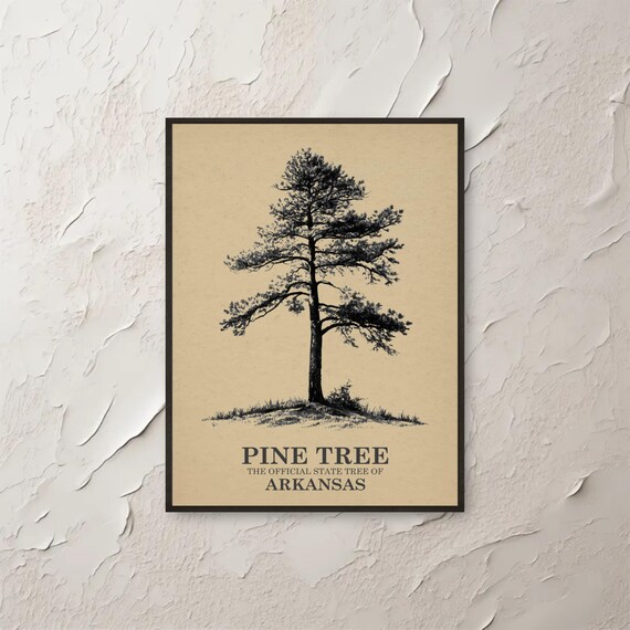 Pine Tree Arkansas Wall Art Vintage Botanical Print State Rustic Nature Artwork Southern Decor Home Office