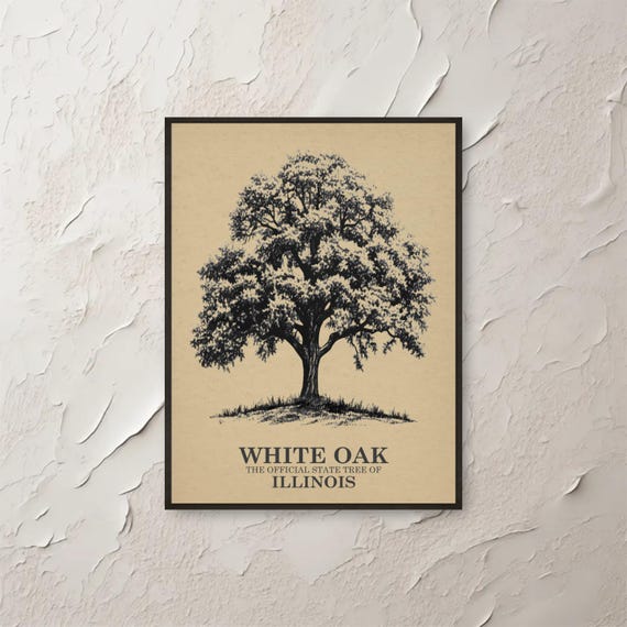 White Oak Wall Art Illinois State Tree Print Botanical Illustration Vintage Poster Nature Inspired Decor