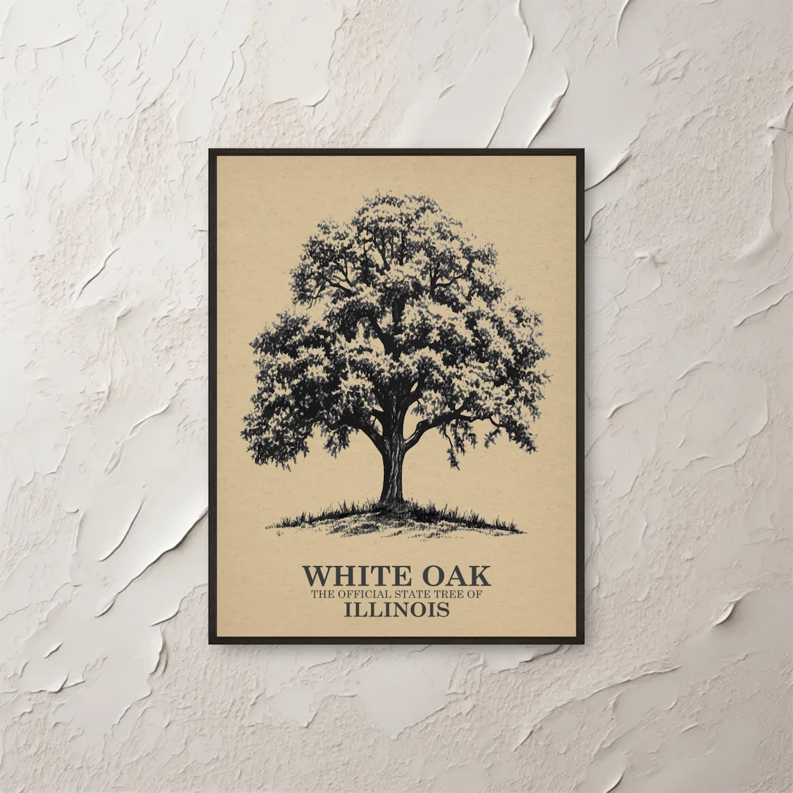 White Oak Illinois Official State Tree Vintage Botanical Sketch Poster