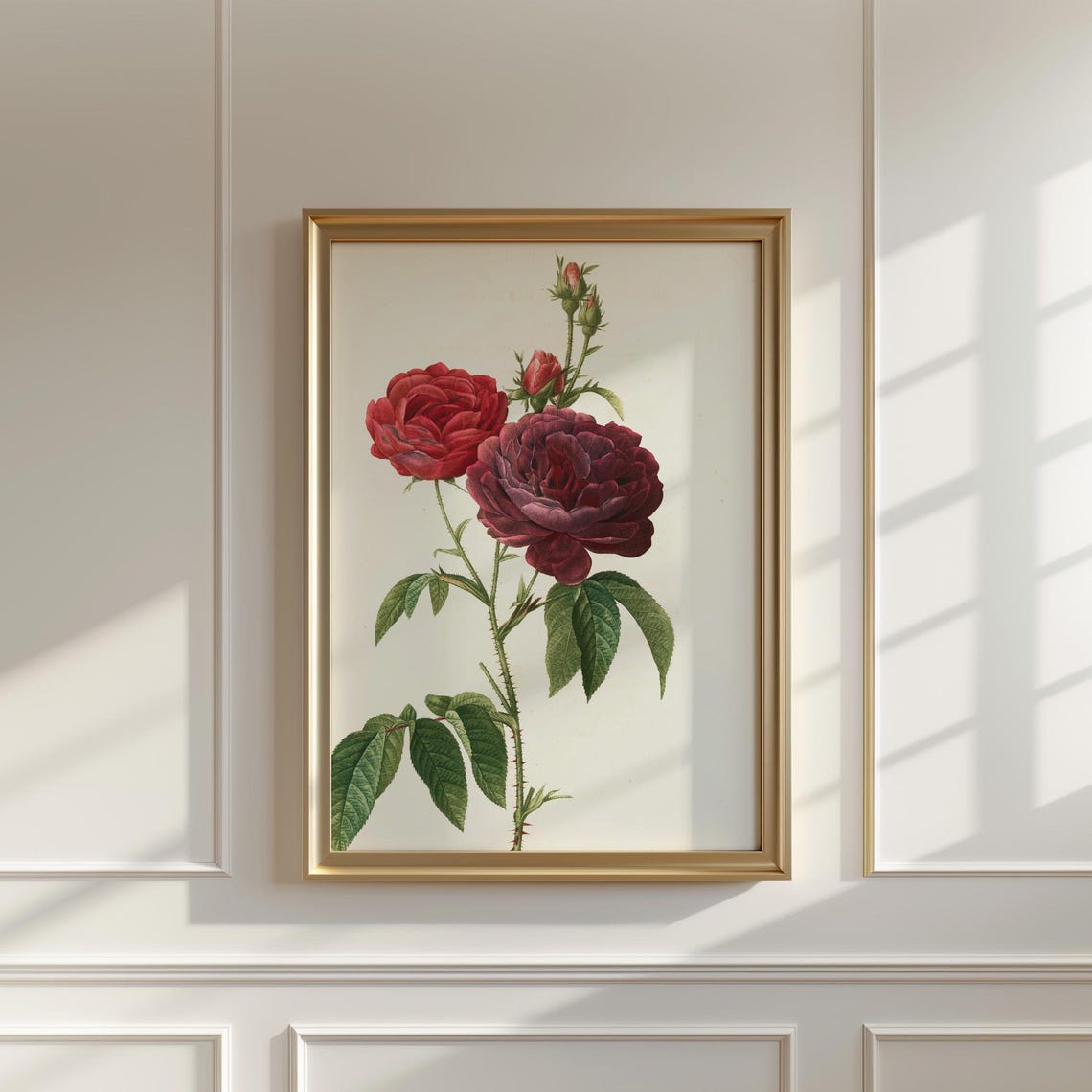 Deep Burgundy Garden Roses Classic Vintage Botanical Wall Print - Image 5