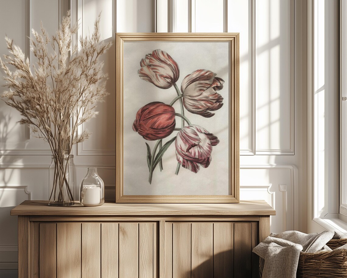 Four Red And Pink Flamed Striped Tulips Vintage Botanical Study Print - Image 4