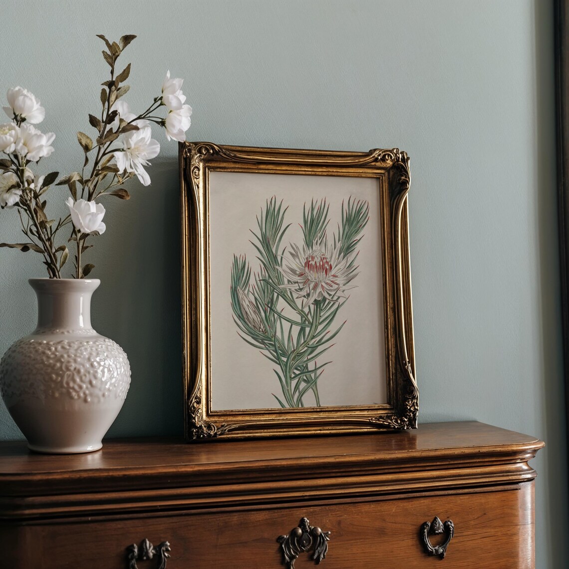 White And Red Protea Vintage Botanical Illustration Wall Print - Image 2