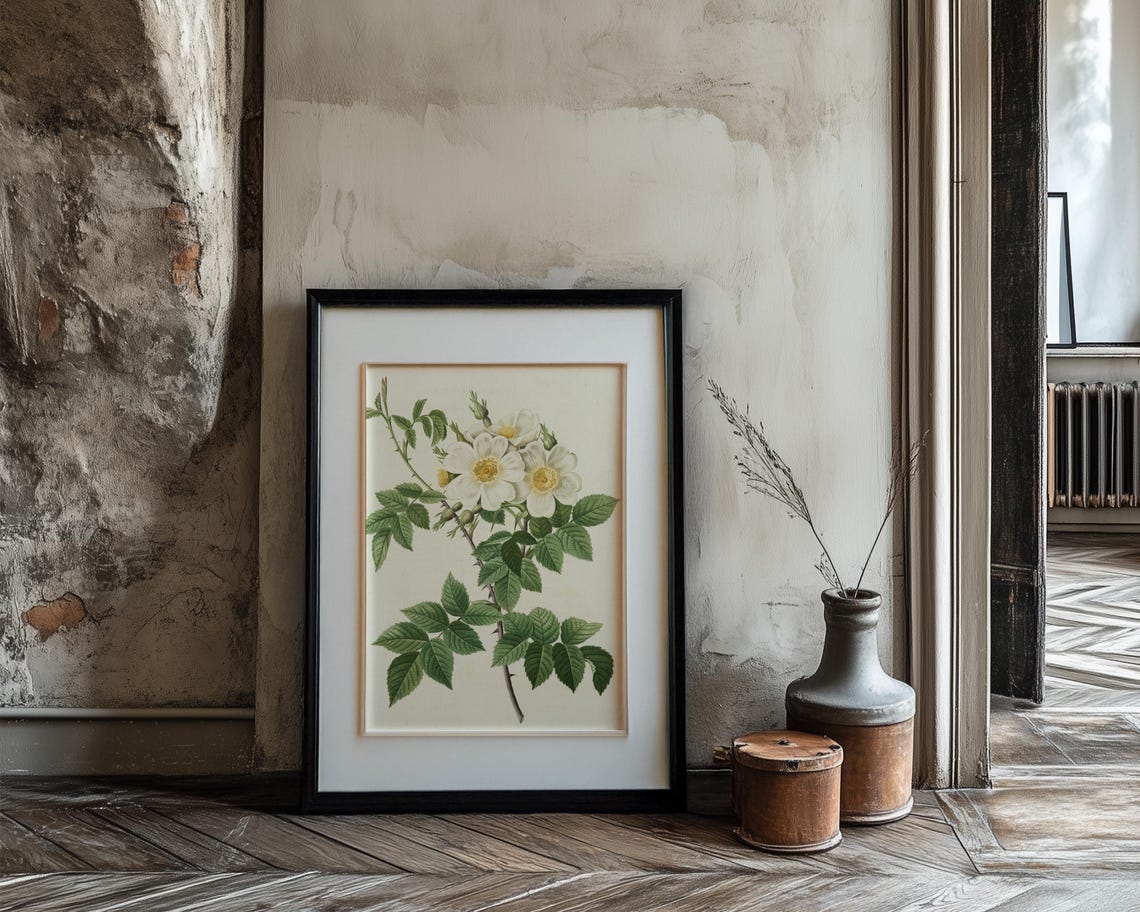White Wild Rose Blossom Cluster Vintage Botanical Illustration Poster - Image 3