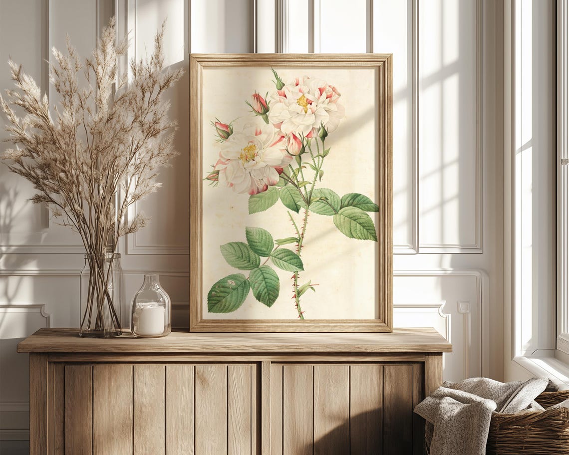 White Cabbage Roses with Blush Buds Vintage Botanical Poster - Image 4