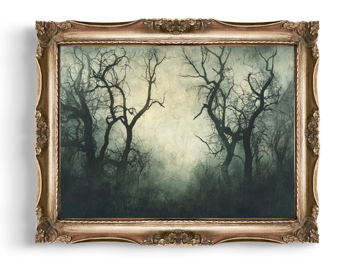 Misty Shrouded Bare Trees Spooky Gothic Forest Vintage Print
