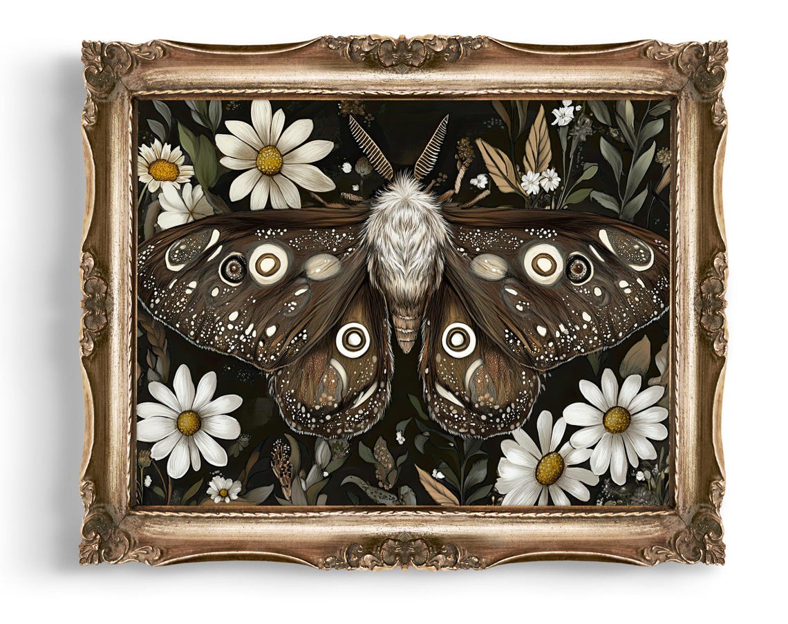 Large Night Moth with Daisies Dark Botanical Illustration Poster