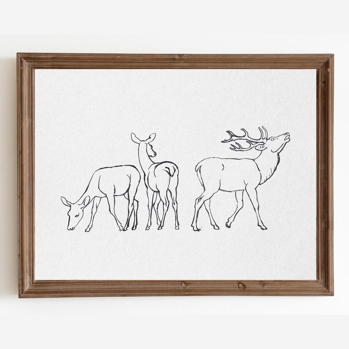 Deer Family Stag Doe Fawn Minimalist Line Drawing Wildlife Art Poster