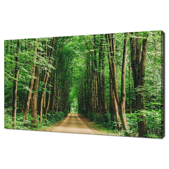 Walkway Path Through The Green Forest Trees, Wall Art