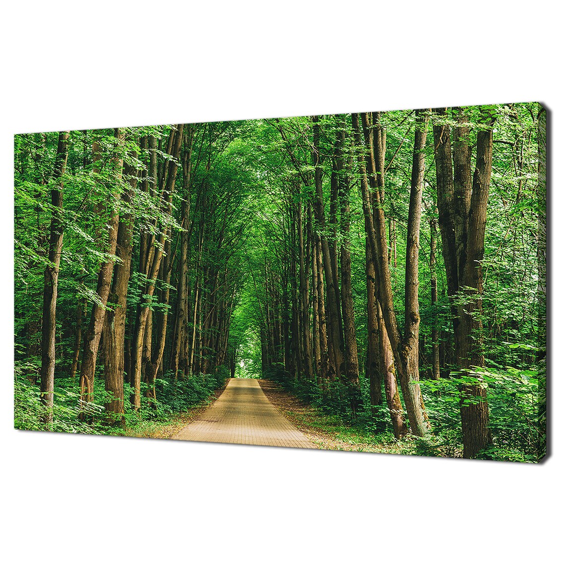 Walkway Path Through The Green Forest Trees, Wall Art