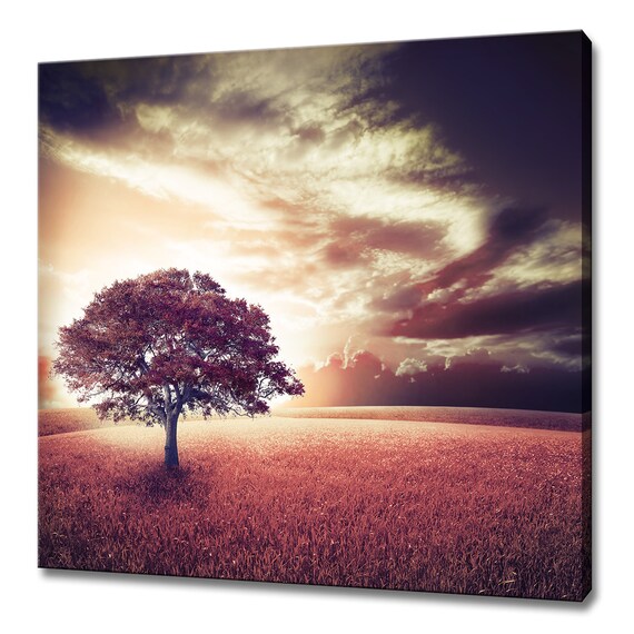 Sunset Tree Field Under Stormy Sky Modern Design Home Decor Print Wall Art Picture Wall Hanging