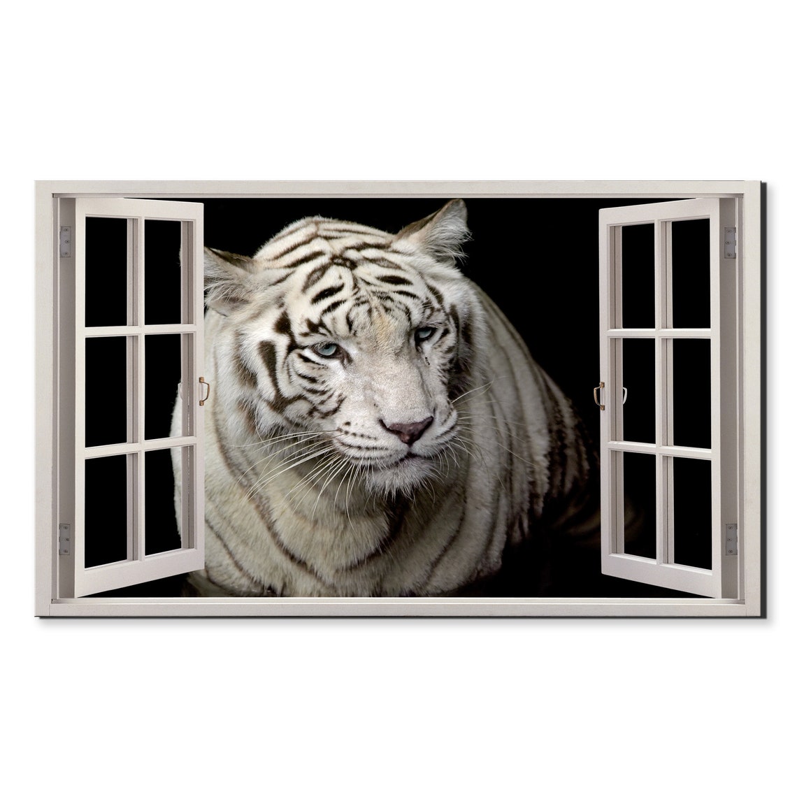 White Tiger Portrait Open Window Frame View Majestic Big Cat Wall Art