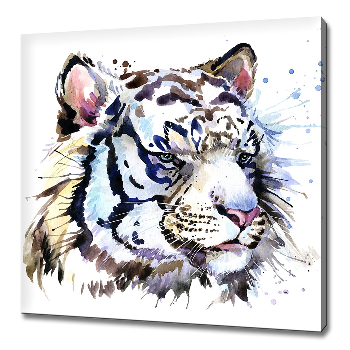 White Tiger Watercolor Paint Splatter Portrait Expressive Animal Wall Art Poster