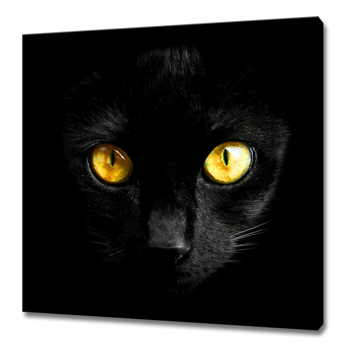 Black Cat With Shiny Yellow Eyes Modern Art Print