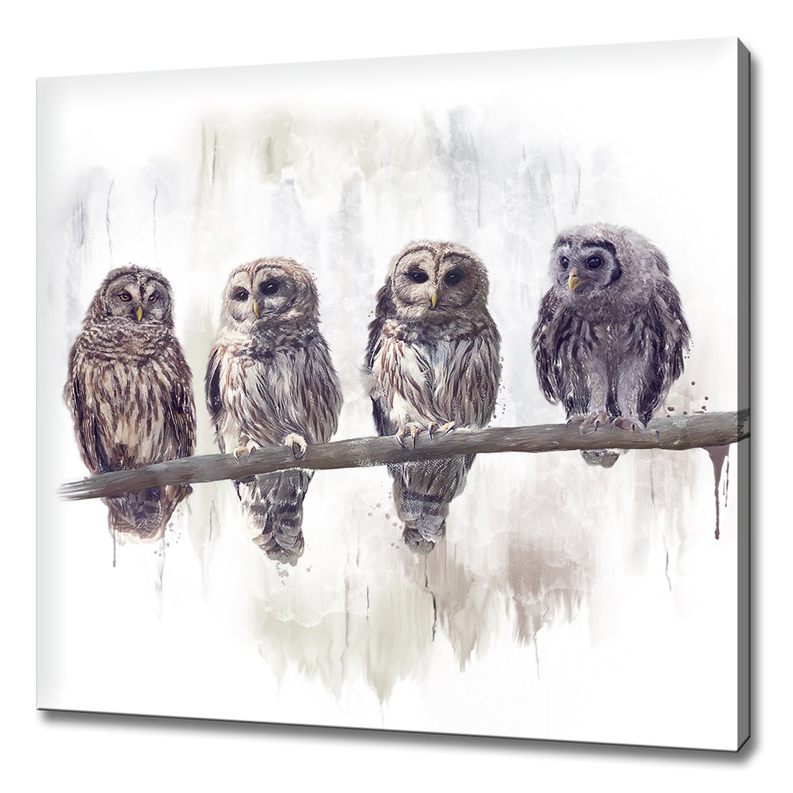 Four Barred Owls Perched On Branch Watercolor Bird Art Print