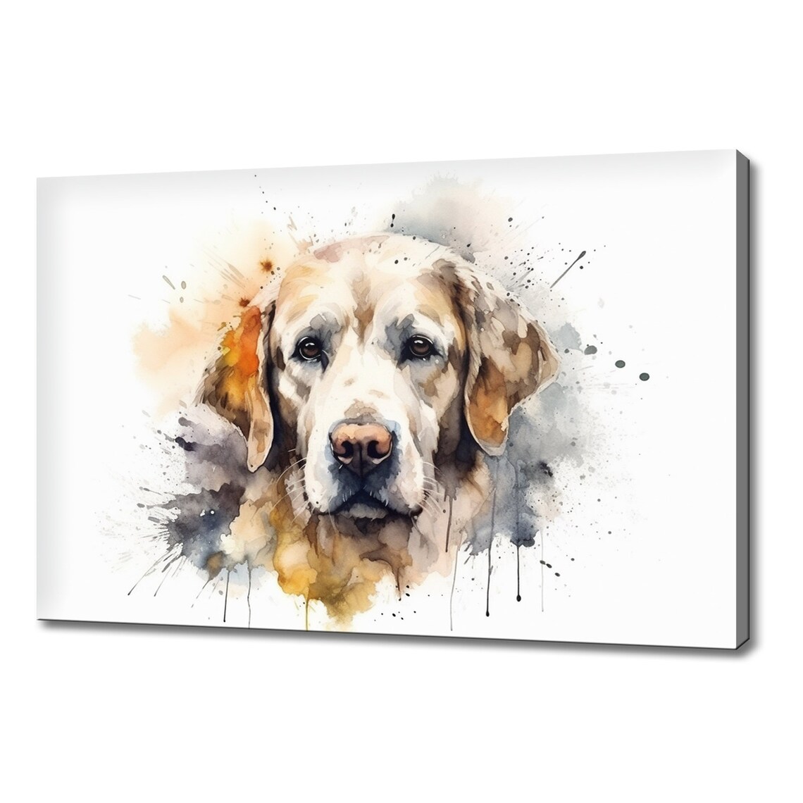 Golden Retriever Cream Coat Portrait Watercolour Splash Poster