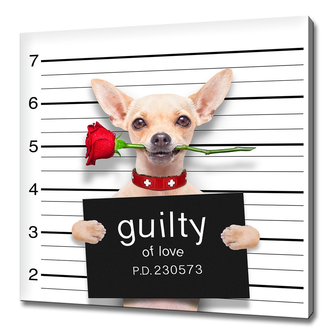 Chihuahua Dog With Rose Flower Guilty Of Love Humourous Animal Modern Design Home Decor Print Wall Art Picture Wall Hanging