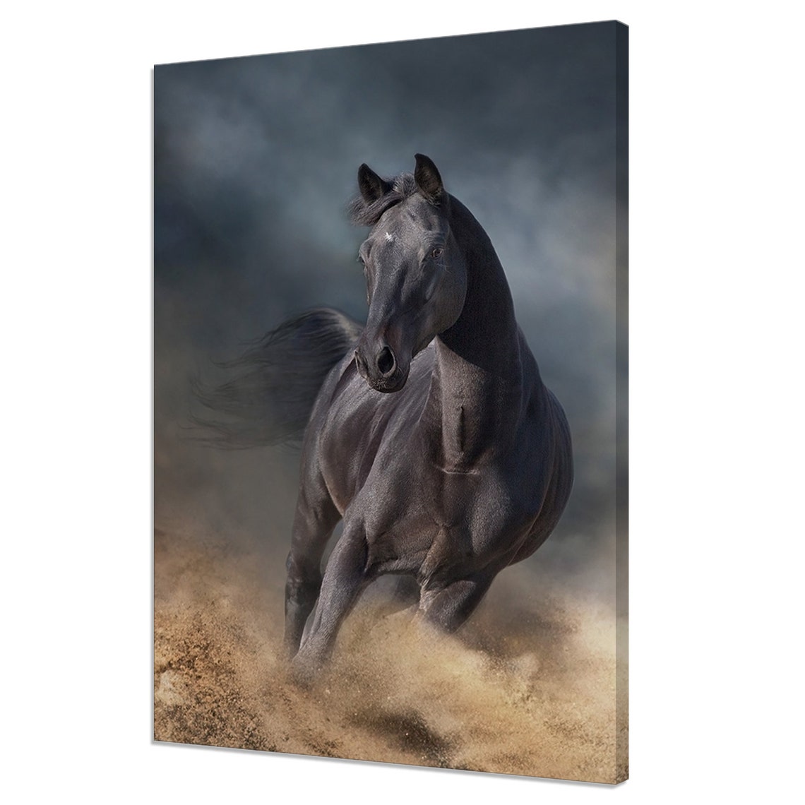 Black Stallion Horse Galloping Through Dust Dramatic Equine Wall Art