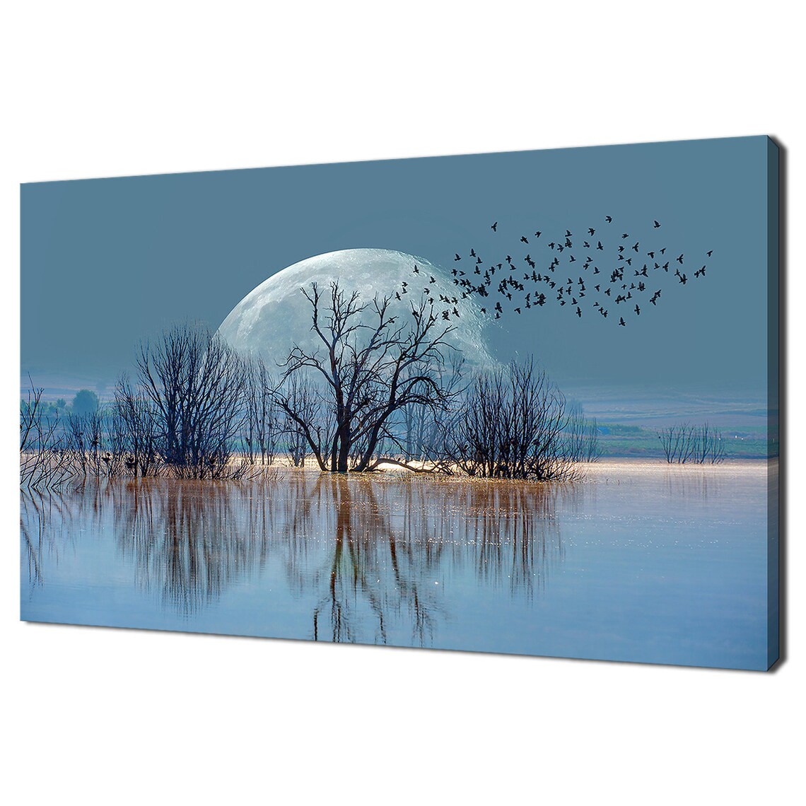 Full Moon Rising Over Flooded Trees Flying Birds Dusk View Poster
