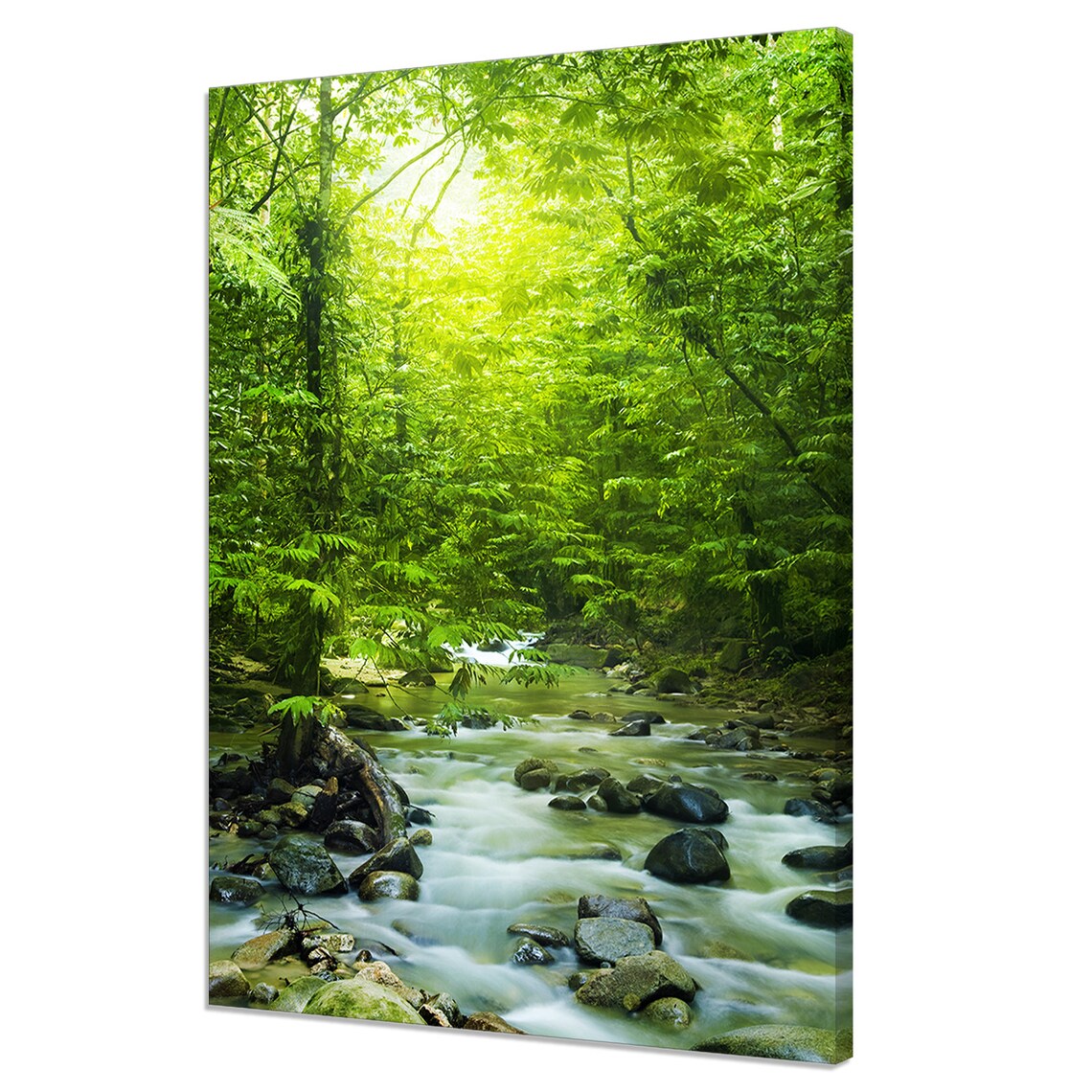 Tropical Mountain Stream Morning Art Print, Modern Decor