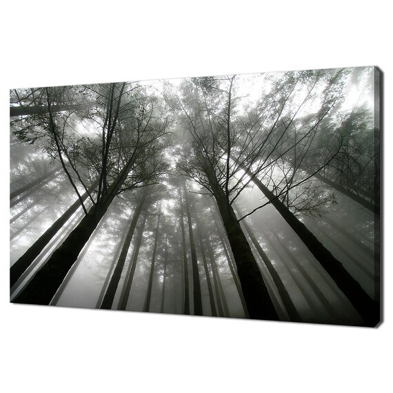 Black And White Trees In The Foggy Forest Modern Design Home Decor Print Wall Art Picture Wall Hanging